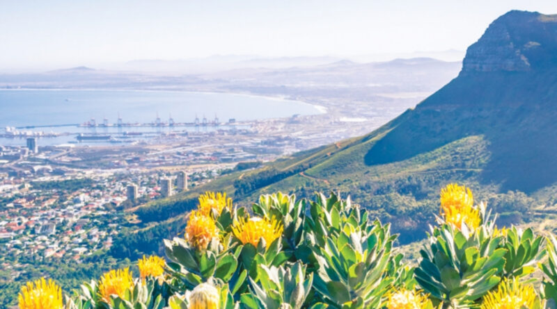 Explore the Cape Floral Kingdom’s rare fynbos. Hlola uMbuso Wezimbali waseKapa onezinhlobo ezingu-8,600, eziningi zisengozini
